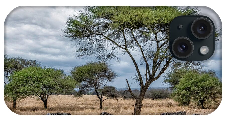 Tanzania iPhone Case featuring the photograph Serengeti Zebra Crossing by Marcy Wielfaert