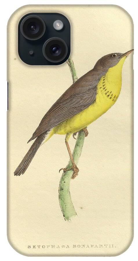 Setophaga Bonapartii iPhone Case featuring the photograph Setophaga bonapartii Colourised plate o1 by Historic illustrations