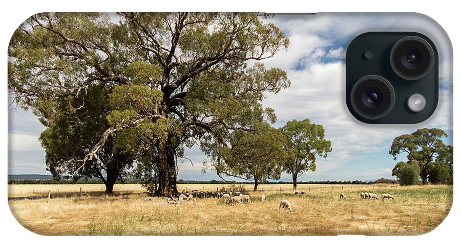 Paddock iPhone Case featuring the photograph Shade, anywhere you can get it by Linda Lees