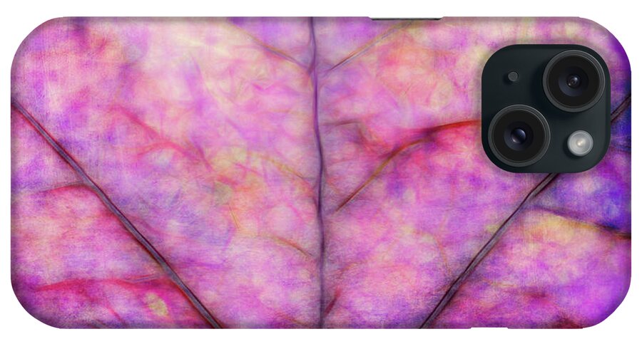 Purple iPhone Case featuring the photograph Shades of Purple by Elaine Teague