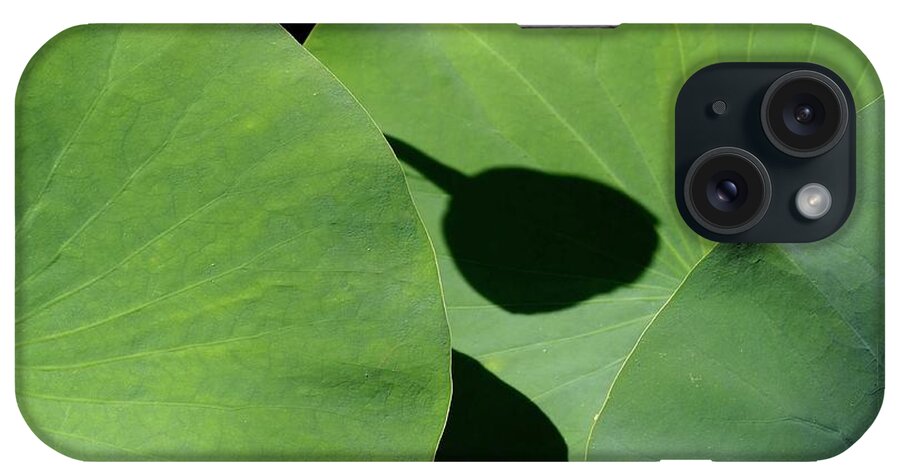 Lotus Leaves iPhone Case featuring the photograph Shadow Connected by Alida M Haslett