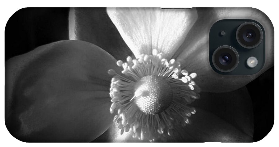 Photo iPhone Case featuring the photograph Shadows Upon Me by Tracey Lee Cassin