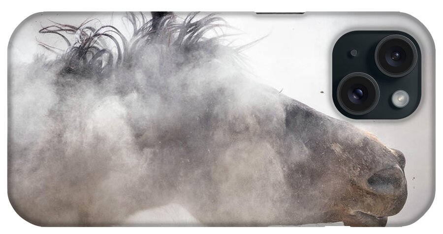Mustang iPhone Case featuring the photograph Shakin it off by Julie Argyle