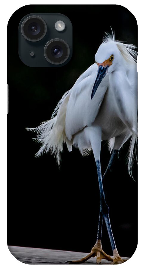 Bird iPhone Case featuring the photograph Shall We Dance by Shara Abel