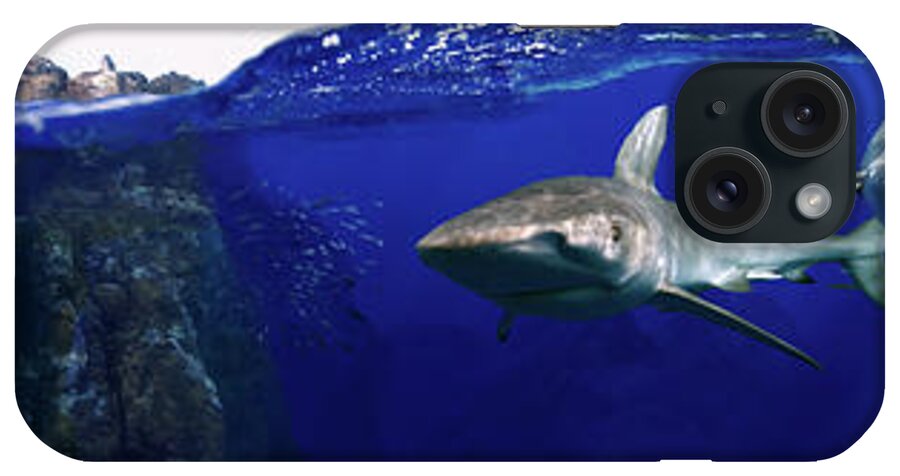Sharks iPhone Case featuring the digital art Shark scene by Artesub