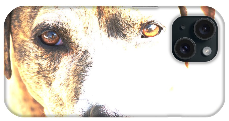 Dog iPhone Case featuring the photograph She Sees Me by Kae Cheatham