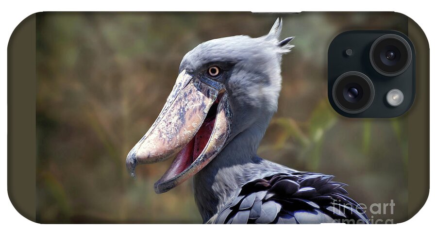 Shoe-billed Stork iPhone Case featuring the photograph ShoeBill bird by Savannah Gibbs