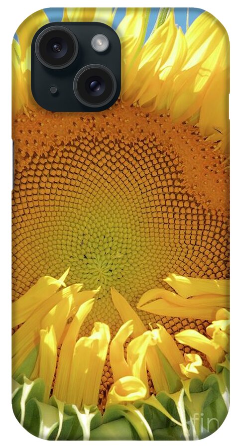 Sunflower iPhone Case featuring the photograph Silvia by Christine Belt