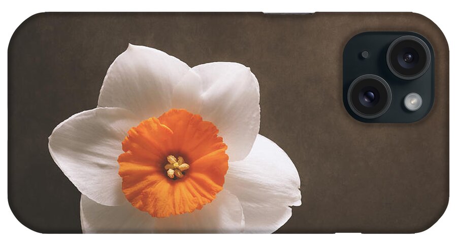 Daffodil iPhone Case featuring the photograph Simple Beauty by Scott Norris