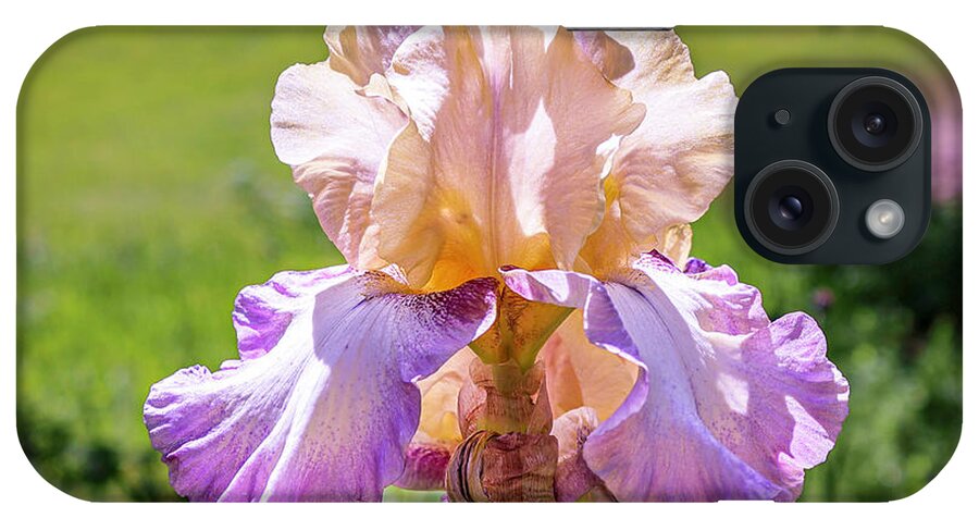 Iris iPhone Case featuring the photograph Single Iris by Shirley Dutchkowski