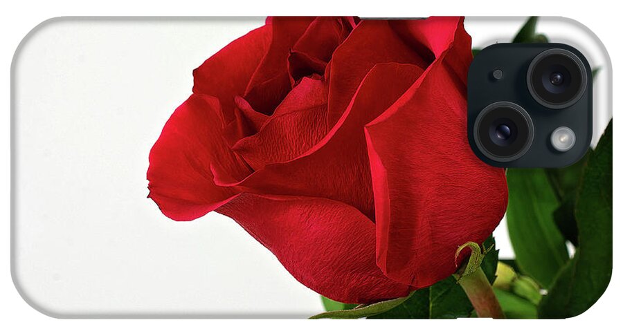 Single Red Rose Wall Art iPhone Case featuring the photograph Single Red Rose by Gwen Gibson