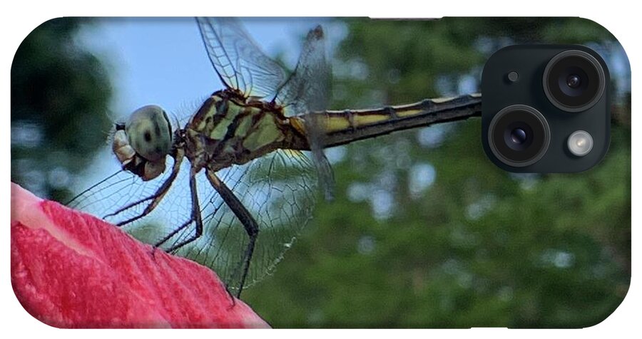 Dragonfly iPhone Case featuring the photograph Skimmer On Target by Catherine Wilson