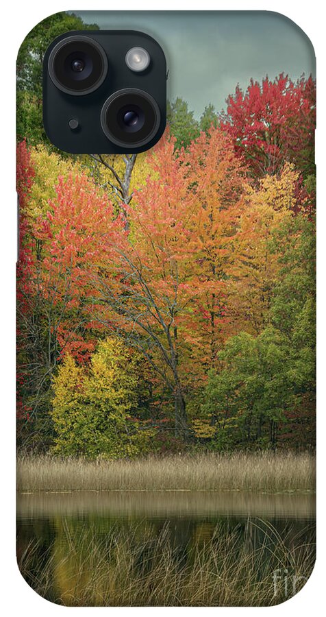 Trees iPhone Case featuring the photograph Skunk Lake Fall Splendor by Trey Foerster