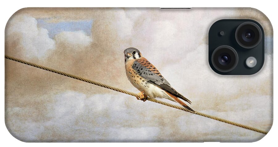 American Kestrel iPhone Case featuring the photograph Sky Watch by Jai Johnson