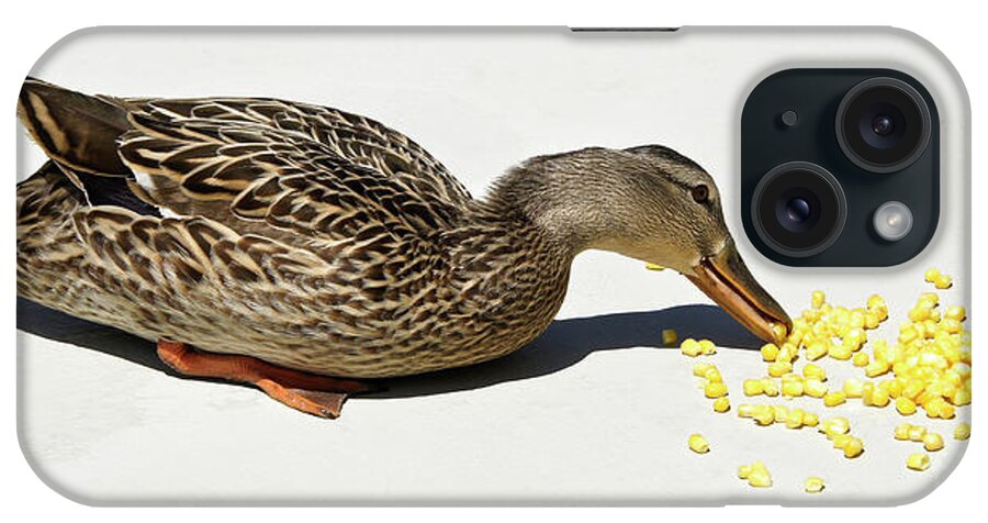 Duck iPhone Case featuring the photograph Snack Time for Mama Duck by Michele Burgess