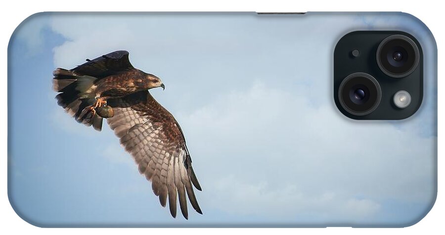 Bird iPhone Case featuring the photograph Snail Kite by Steve DaPonte