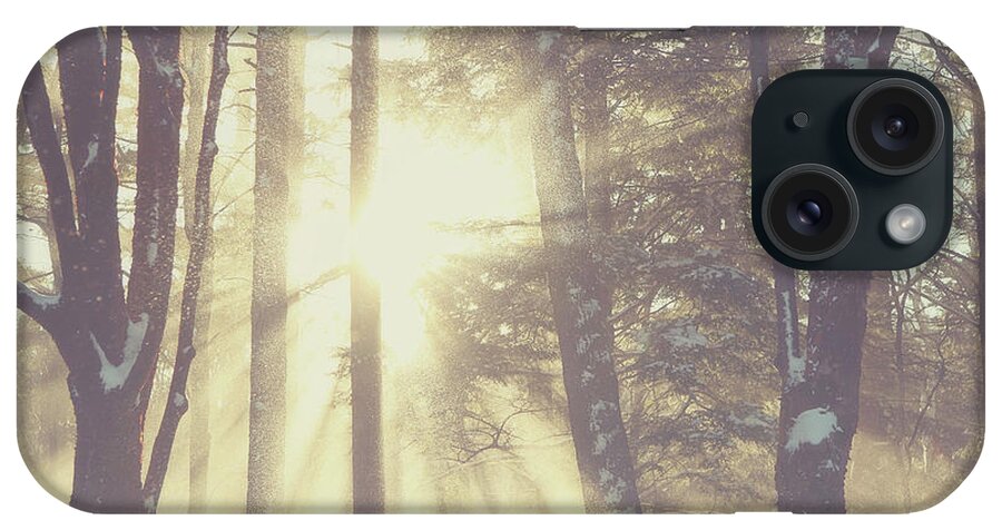 Winter iPhone Case featuring the photograph Snow Beams by Carrie Ann Grippo-Pike