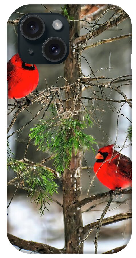 Snow Birds iPhone Case featuring the photograph Snow Birds by Michael Frank