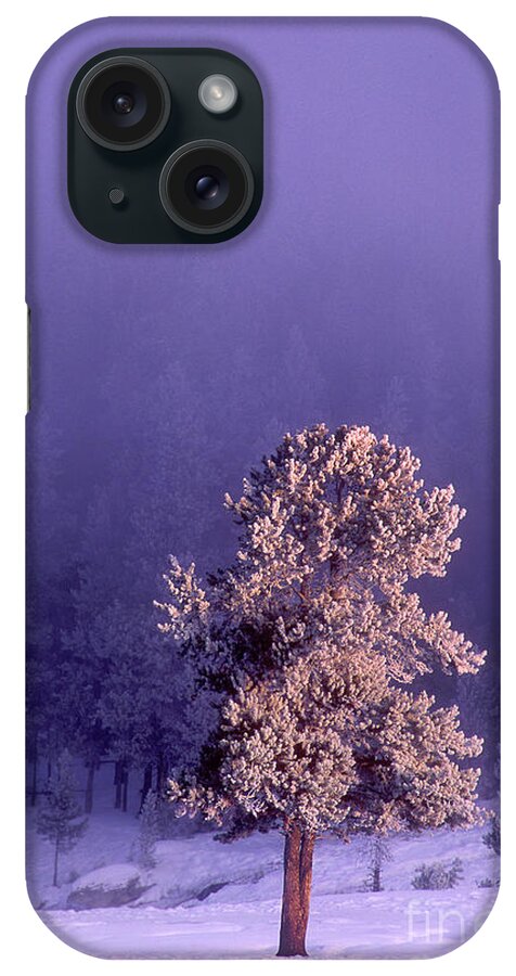 Dave Welling iPhone Case featuring the photograph Snow Covered Fir Tree Yellowstone National Park by Dave Welling
