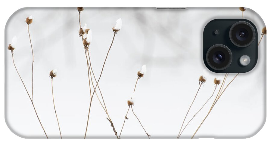 Winter iPhone Case featuring the photograph Snow Day Caps by Forest Floor Photography