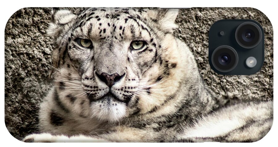 Zoo iPhone Case featuring the photograph Snow Leopard by Gary Geddes