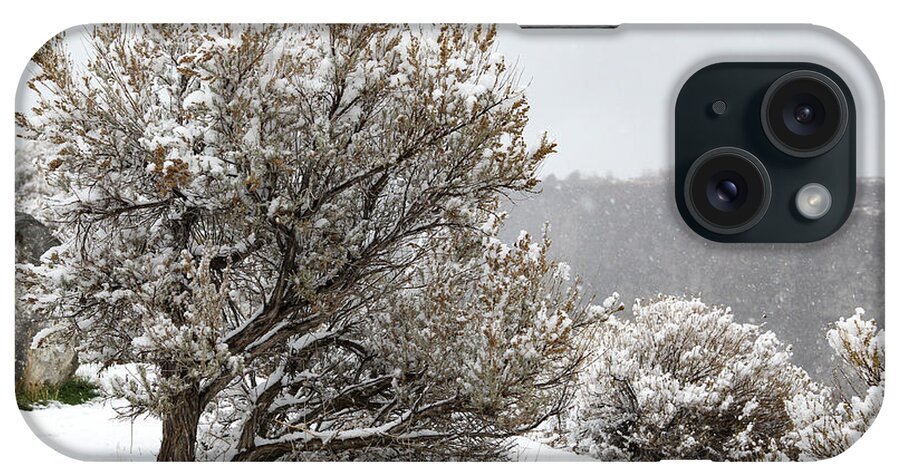 Snow iPhone Case featuring the photograph Snow on Sage by Diane Bohna