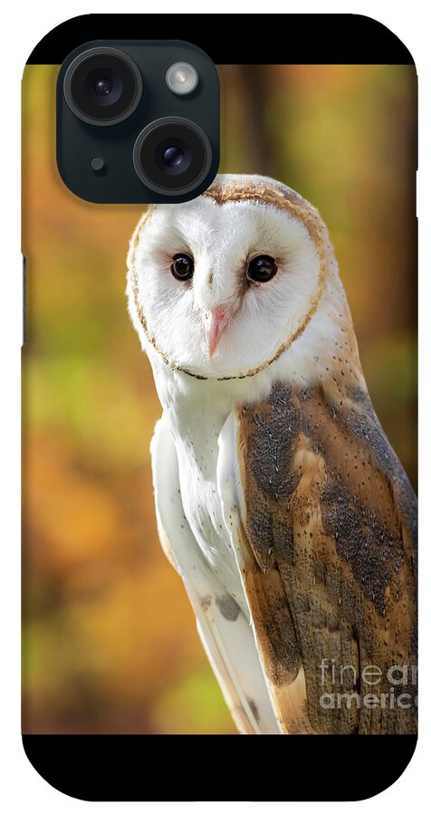 Animal iPhone Case featuring the photograph Snow White by Darya Zelentsova