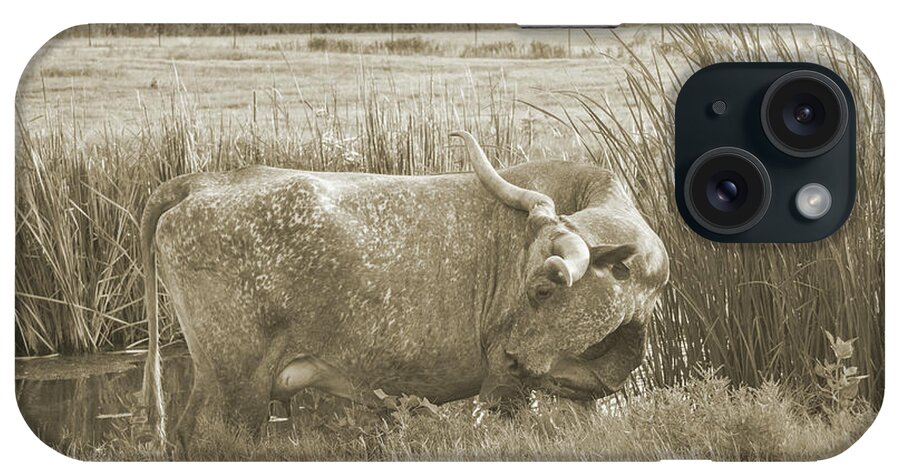 Texas Longhorn Cow Picture iPhone Case featuring the photograph Snowflake - Texas longhorn cow in Sepia by Cathy Valle