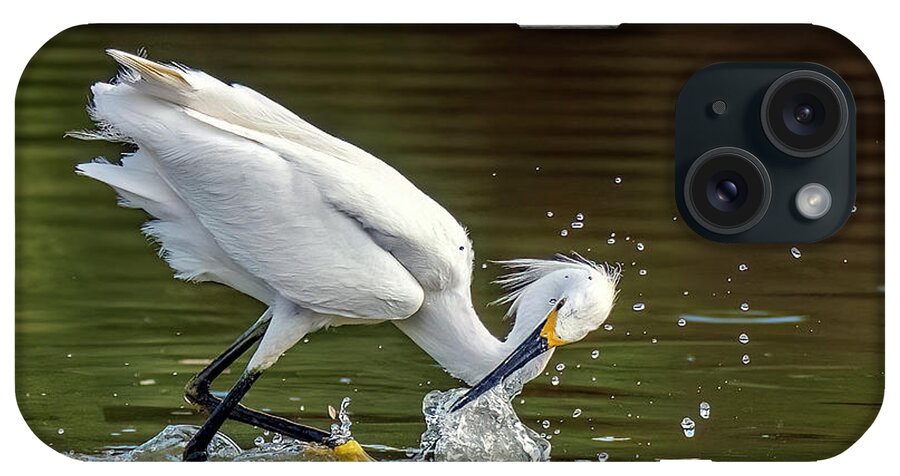 Snowy Egret iPhone Case featuring the photograph Snowy Egret 1691-062622-2 by Tam Ryan