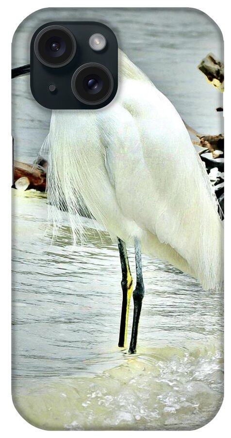 Snowy iPhone Case featuring the photograph Snowy Egret Fishing by Sarah Lilja