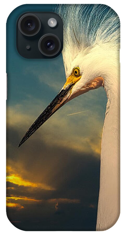 Snowy Egret iPhone Case featuring the photograph Snowy Egret Portrait and Sunset by Stefano Senise