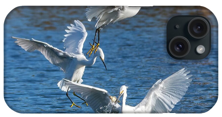 Snowy Egrets iPhone Case featuring the photograph Snowy Egrets 3137-011823-2 by Tam Ryan