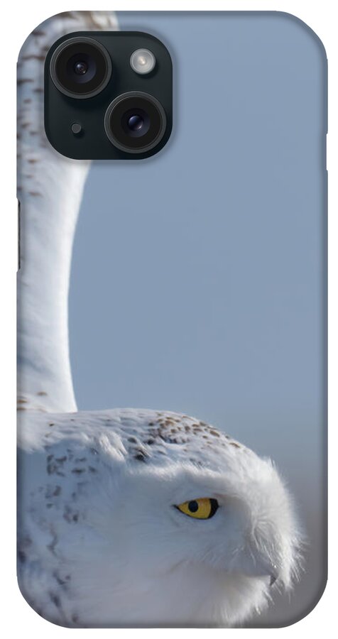 Snowy Owl iPhone Case featuring the photograph Snowy Owl Flying High by Sylvia Goldkranz