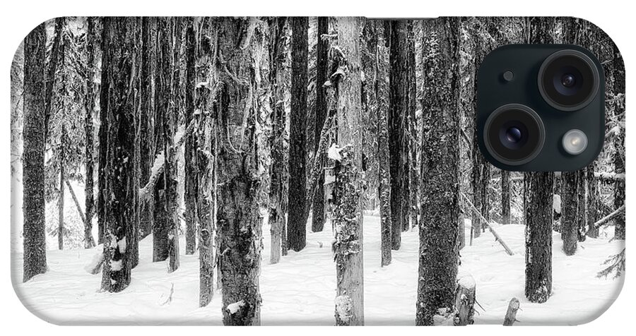 Black And White Photography iPhone Case featuring the photograph Snowy Trees Uniquely the Same by Allan Van Gasbeck