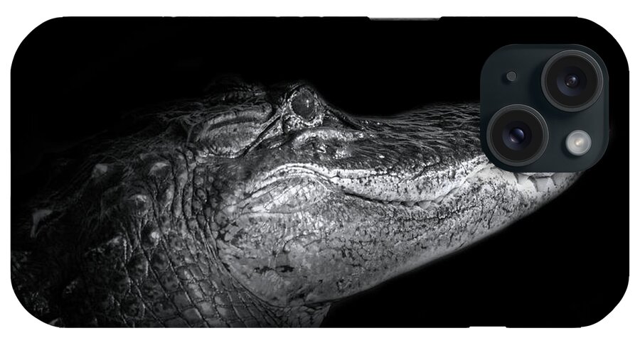 Alligator iPhone Case featuring the photograph Social Distancing Alligator by Mark Andrew Thomas