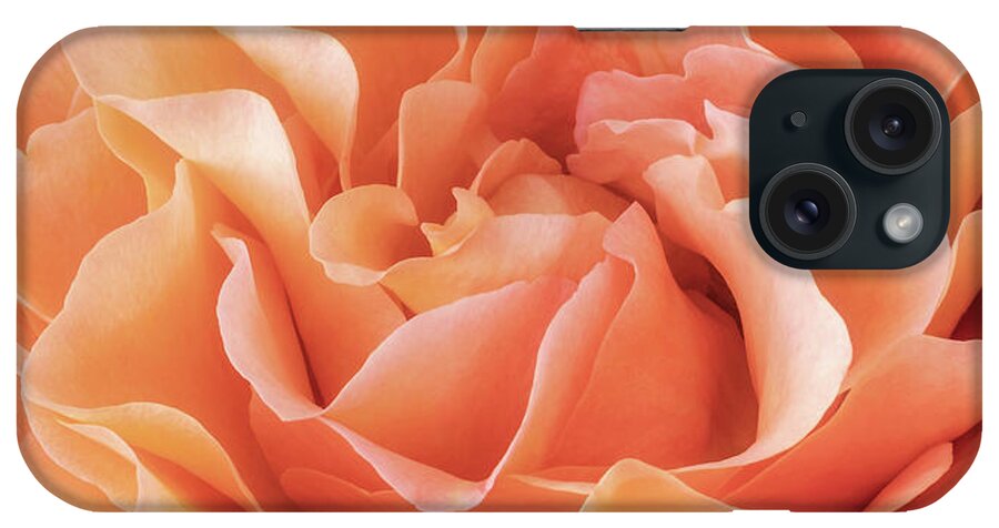 Rose iPhone Case featuring the photograph Soft And Dreamy - Triptych Middle by Elvira Peretsman