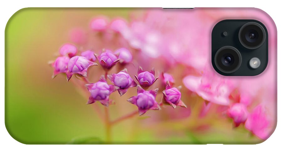 Summer Flowers iPhone Case featuring the photograph Soft Colors of a Flower Bud by Sandra J's