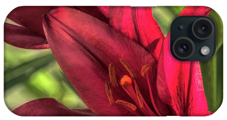 Lily iPhone Case featuring the digital art Solitary Asiatic Lily by Amy Dundon