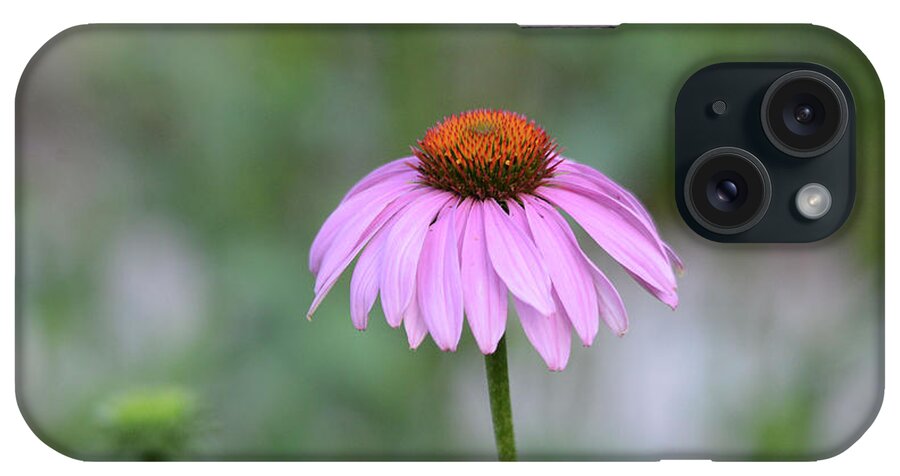 Pink iPhone Case featuring the photograph Solitary Cone Flower by Whispering Peaks Photography