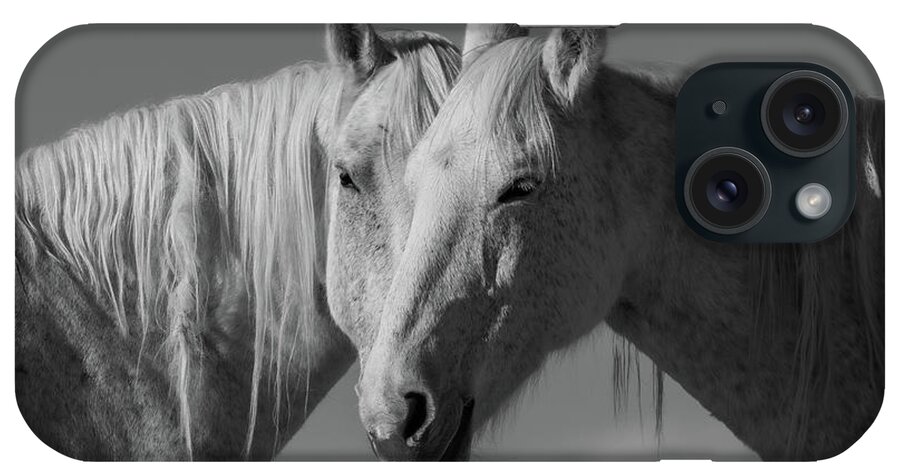 Wild Horses iPhone Case featuring the photograph Soul Sisters by Mary Hone