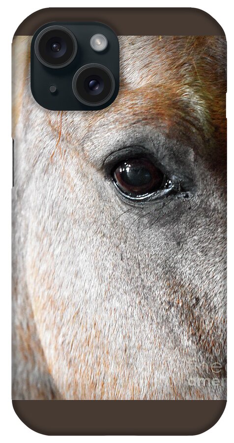 Horse iPhone Case featuring the photograph Soulful Gaze by Linda Brittain