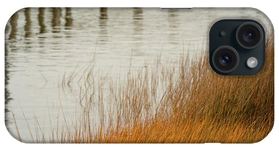 Marsh iPhone Case featuring the photograph Sound Reflections by Joni Eskridge
