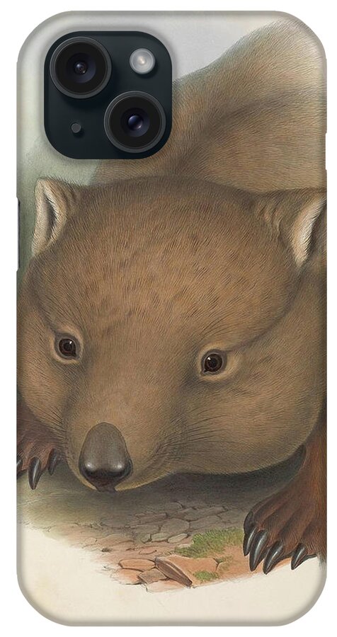 Australia iPhone Case featuring the drawing Southern Hairy Nosed Wombat by John Gould