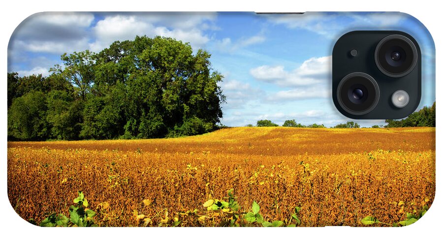 Color iPhone Case featuring the photograph Soybean Harvest by Alan Hausenflock