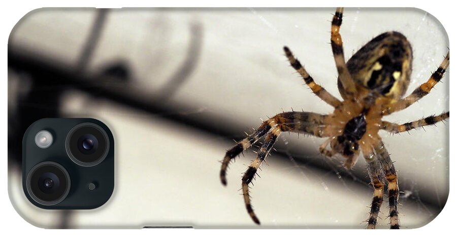 Spider iPhone Case featuring the painting Spider casting shadow by Sv Bell
