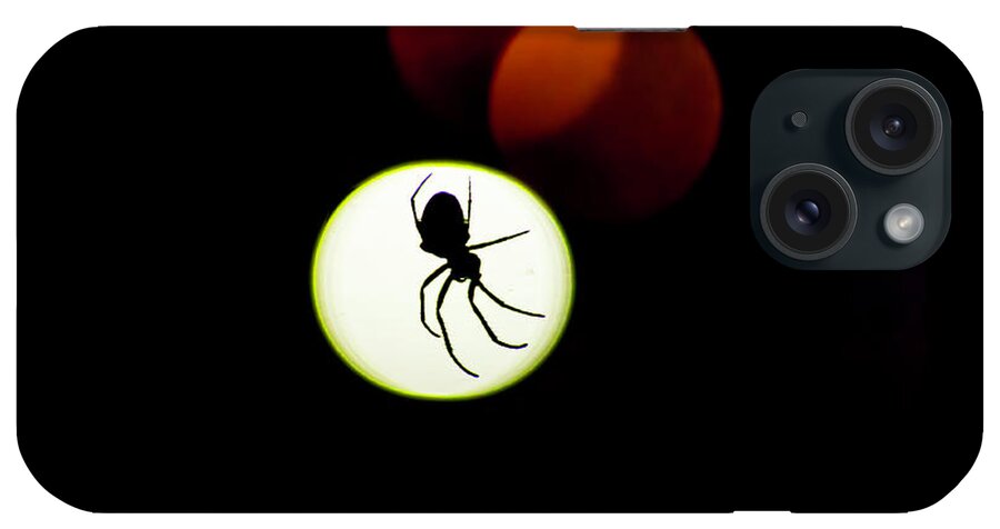  iPhone Case featuring the photograph Spider Silhoutte by Nicole Engstrom