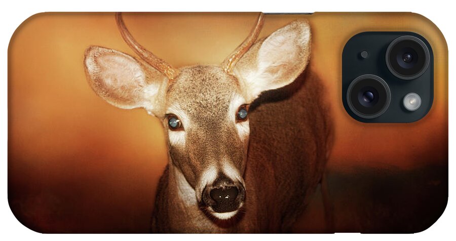 Deer iPhone Case featuring the photograph Spikes Place in Time by Janie Johnson