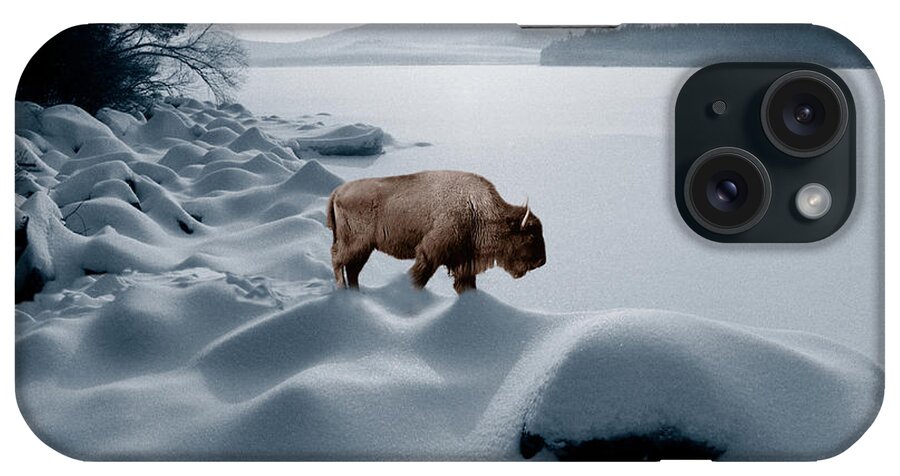 Buffalo iPhone Case featuring the photograph Spirit Buffalo Before a Frozen Lake by Wayne King