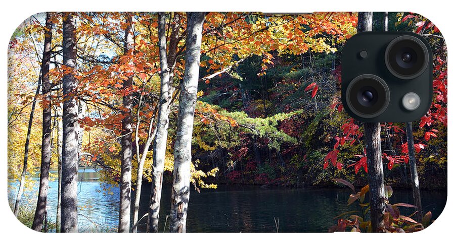 Fall Autumn Autumnal Leaf Leaves Tree Trees Forest Lake Lakes Nature Landscapes Season Seasonal Pond Ponds Wooded Woods Path Paths iPhone Case featuring the photograph Splendor in the Fall by Li Newton
