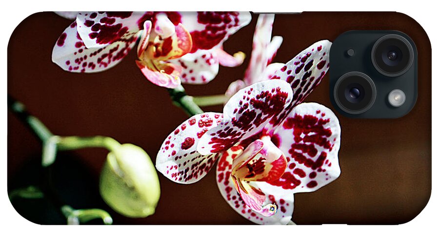 Orchid iPhone Case featuring the photograph Spotted Purple Orchid by Ramona Matei